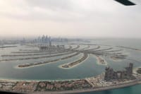 The Palm view