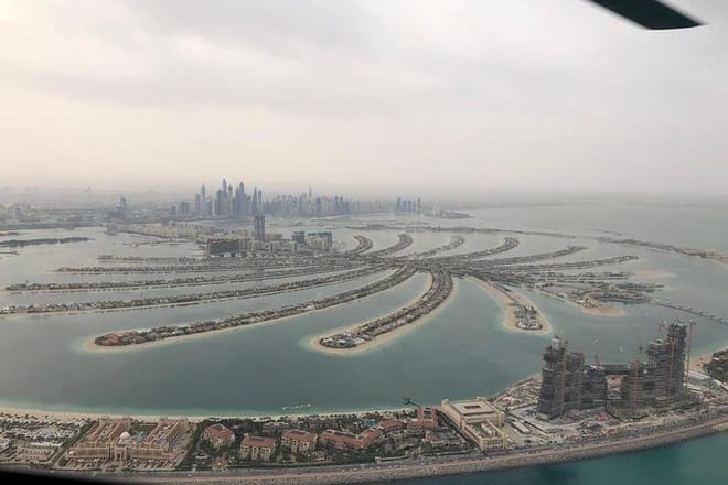 The Palm view
