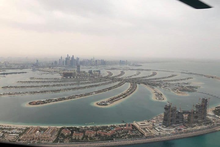 The Palm view