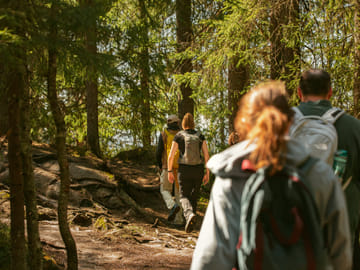 Guided Nature Walk at Holmenkollen in Oslo
