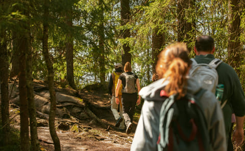 Guided Nature Walk at Holmenkollen in Oslo