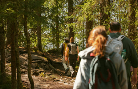 Guided Nature Walk at Holmenkollen in Oslo