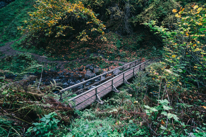 Latourell Falls