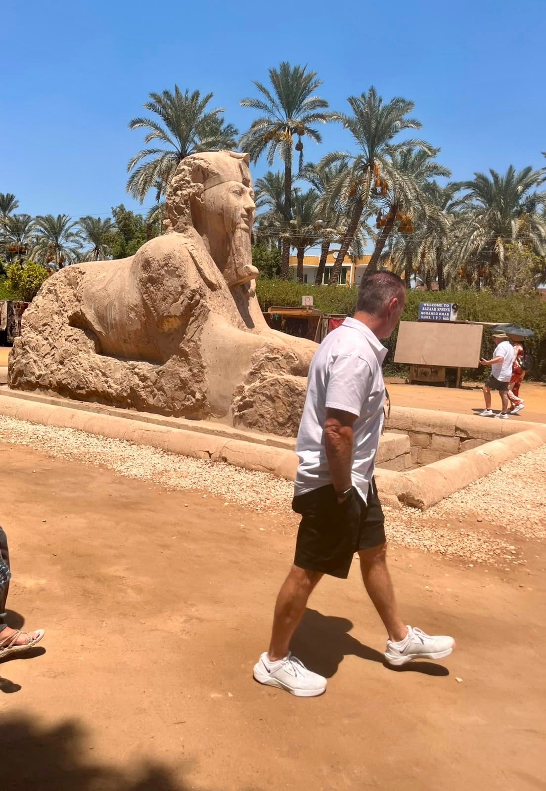Memphis City, the ancient capital of Egypt, The famous Alabaster Sphinx.