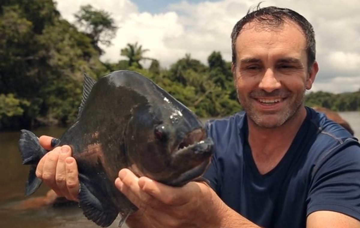 Piranha fishing experience in the Amazon jungle