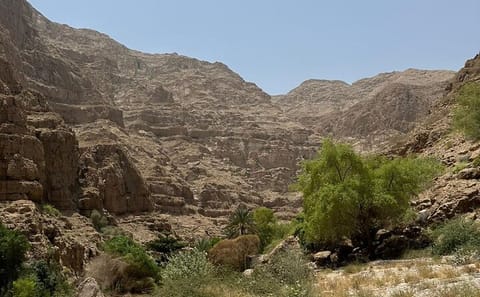 Private Day Trip to Wadi Shab and Bimmah Sinkhole from Muscat