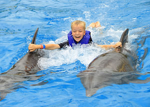 DOLPHIN SIGNATURE SWIM