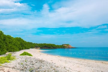 Trincomalee and Nilaveli beach Tour from Polonnaruwa