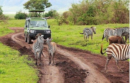 5 Days Tsavo East, Tsavo West & Amboseli Private Wildlife Safari from Mombasa