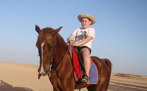 Horseback Riding Adventure with Meal in Hurghada