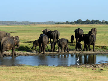 10-Day Adventure and Beach Tour in Sri Lanka