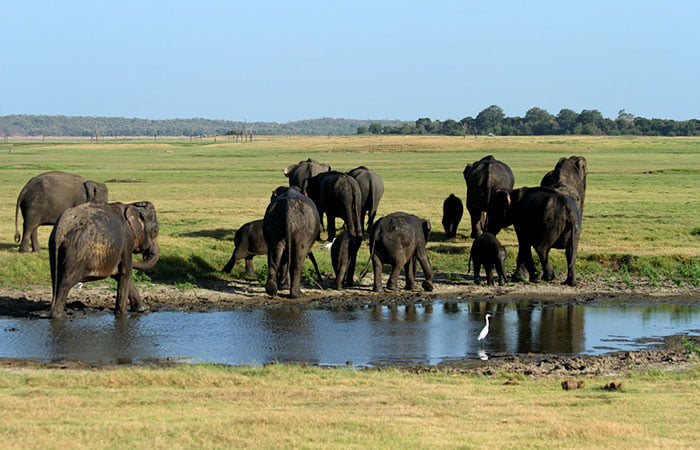 Take a 10 days vacation around Sri Lanka with an amazing beach experience 3
