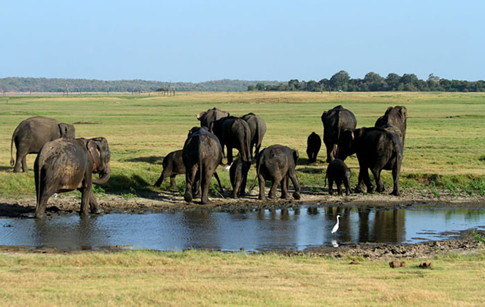 10-Day Adventure and Beach Tour in Sri Lanka