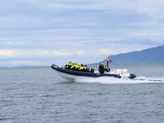 Puffin Express by RIB Speedboat, photo 7