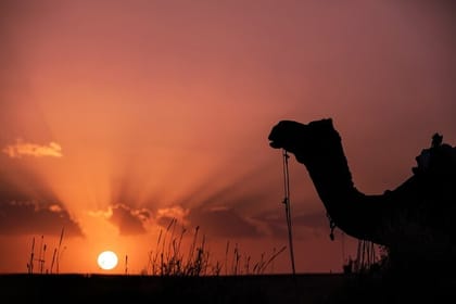 Jaisalmer Exploration Tour