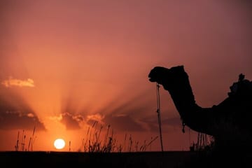 Three-Day Cultural Tour of Jaisalmer, India