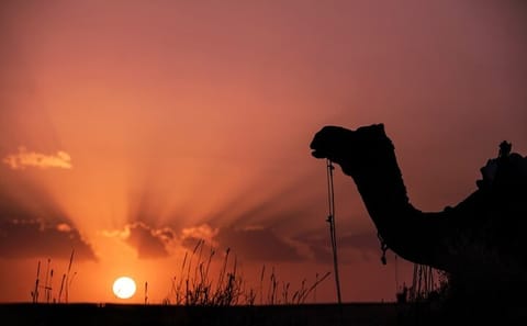 Three-Day Cultural Tour of Jaisalmer, India