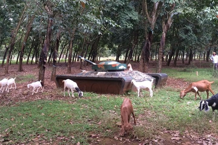 Australian Base, Long Tan & Nui Dat Tour with Vung Tau Beach