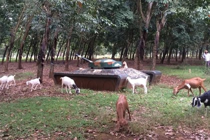 Australian Base, Long Tan & Nui Dat Tour with Vung Tau Beach