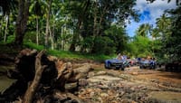 2 Hour ATV Jungle Adventure  7
