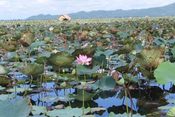 Cambodia Free & Easy Package, Private Tour