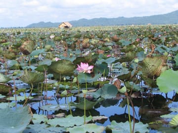 Angkor Temples & Lost City of Ta Prohm, Private Tour