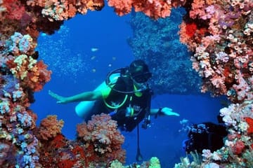 Scuba Diving Tour From Kusadasi / Selcuk