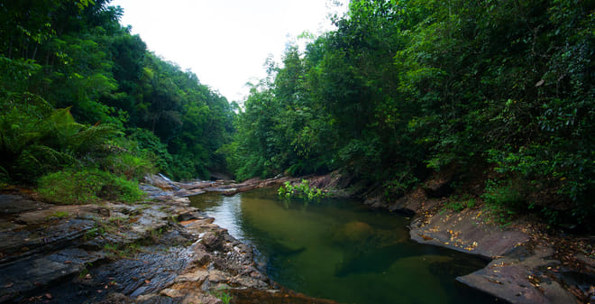 Makandawa Rainforest – old waterfall hike (1 day programme) photo 3