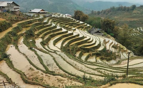 Half-Day Private Muong Hoa Valley Trek and Ethnic Tribes Tour