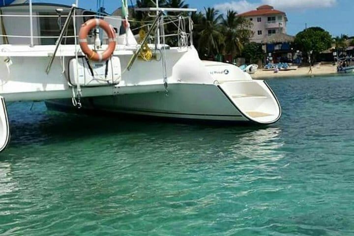 5 tours in 1 (Eco Farm/Horseback/City Tour/Buggy/Zipline)