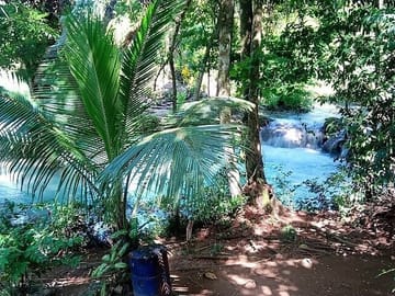 Dunns River Falls & Blue Hole in ocho Rios frm Negril/Montego Bay