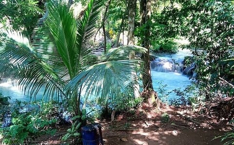 Dunn's River Falls and Blue Hole Combo Tour from Negril