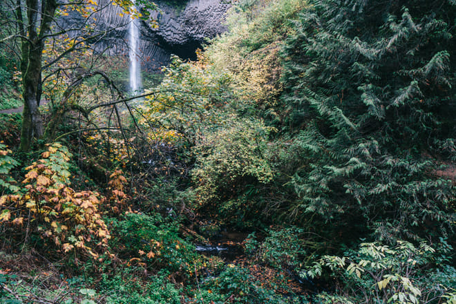 Latourell Falls