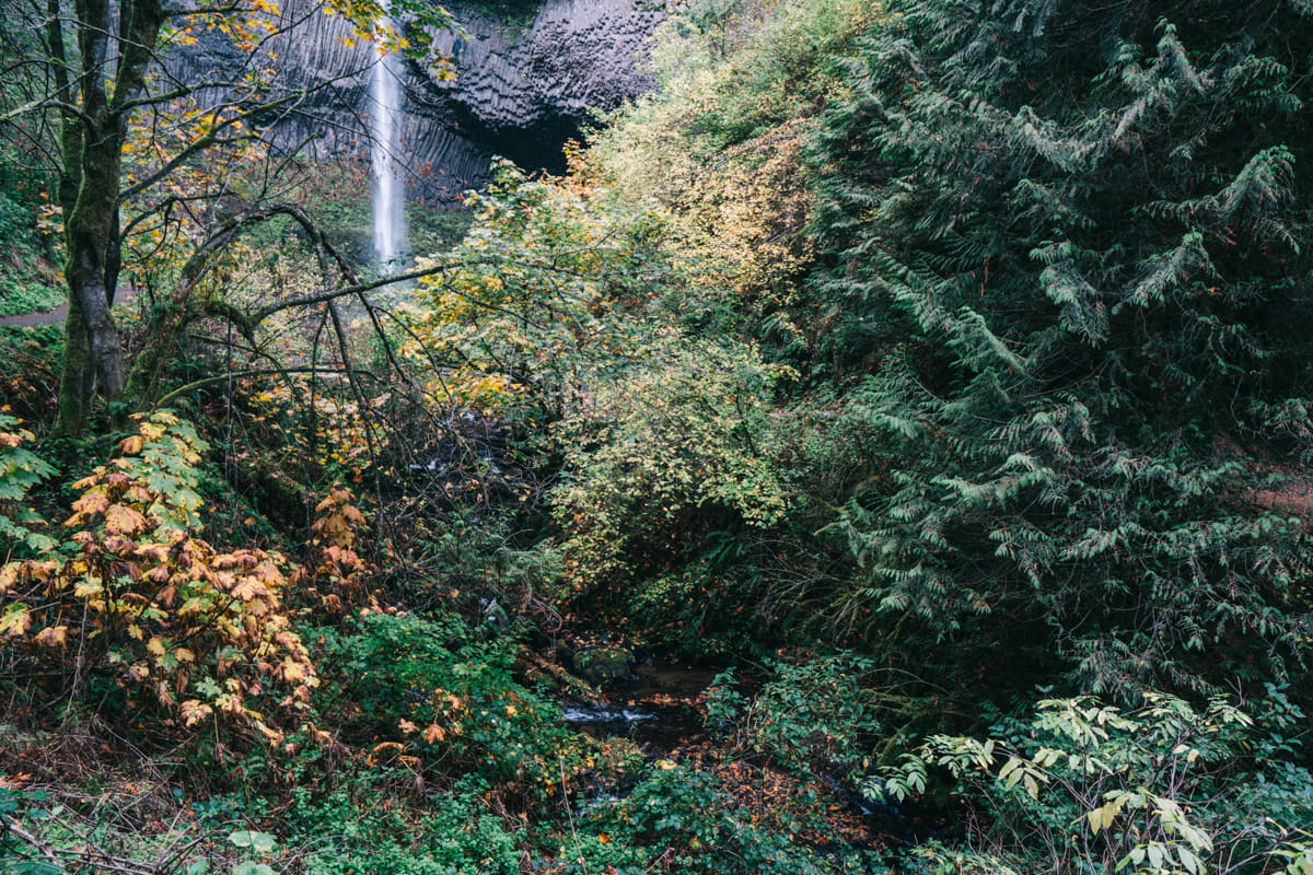 Latourell Falls