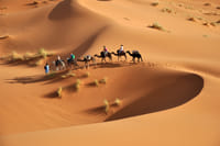 Complete Desert Adventure 1