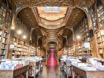 Private Full-Day Cultural Tour of Porto with Photoshoot