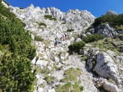 PRIVATE, MEDIUM Day Hike in Carpathian Mountains 7