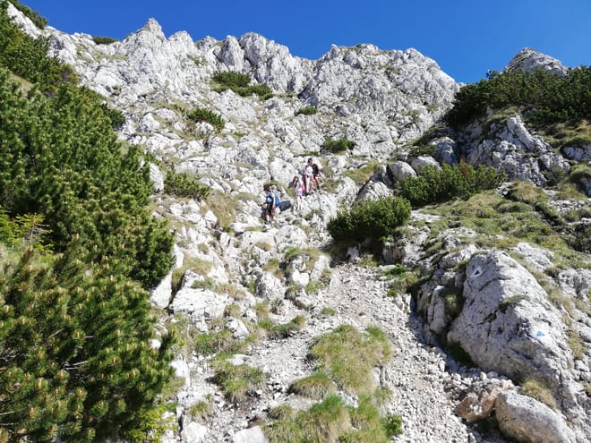 PRIVATE, MEDIUM Day Hike in Carpathian Mountains 7