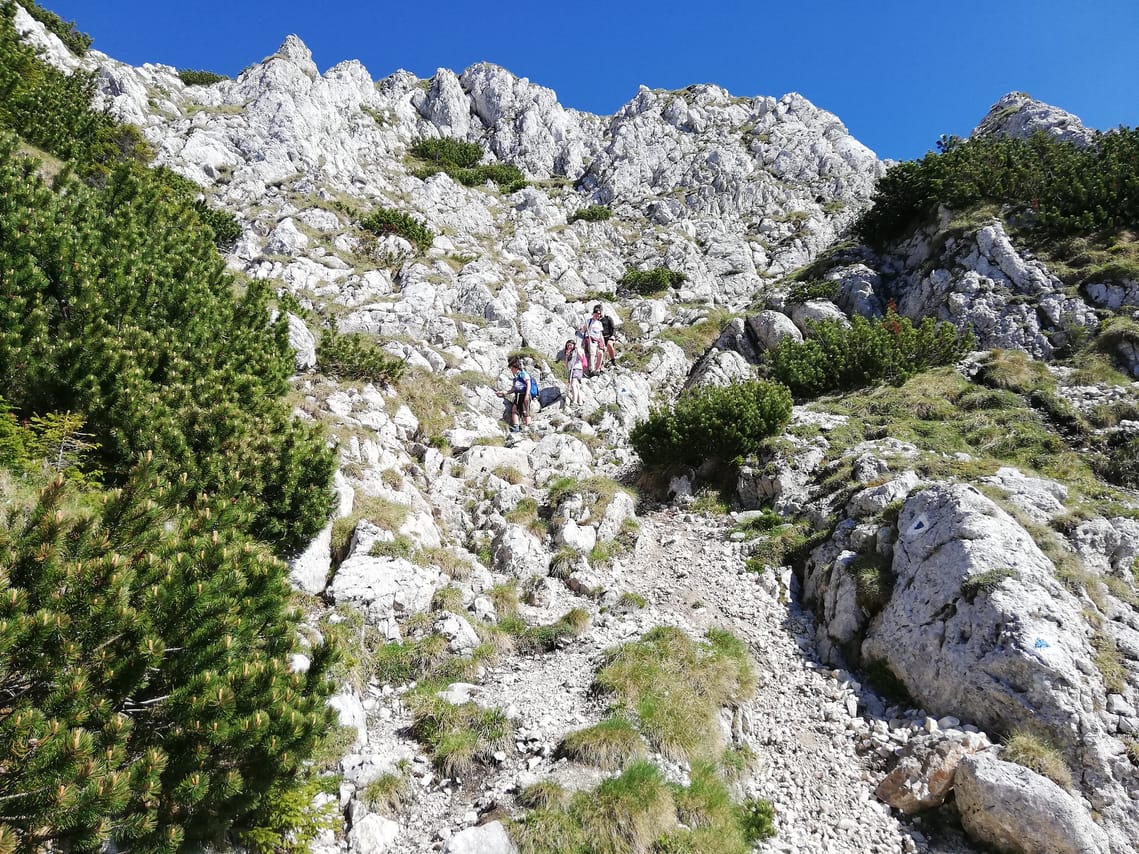 PRIVATE, MEDIUM Day Hike in Carpathian Mountains 7