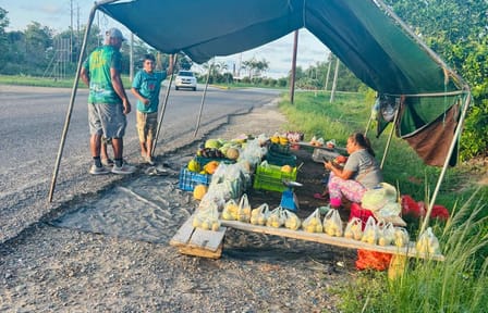 Cultural Day Tour of Placencia in the Stann Creek District