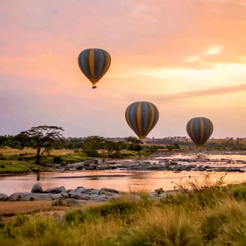 4-Day Tanzania Group Safari Tarangire, Serengeti & Ngorongoro Crater – The Ultimate Shared Safari Adventure 3