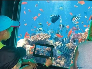 Semi Submarine Tour to Explore Coral Reefs in Sharm El Sheikh