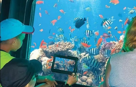 Semi Submarine Tour to Explore Coral Reefs in Sharm El Sheikh