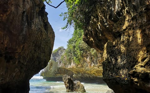 5-Day Adventure and Cultural Tour in Ubud, Bali