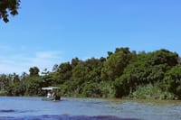 Muthurajawela Sanctuary Bird Watching and Negombo Lagoon Boat Trip from Colombo 7