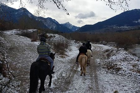 Exciting Evritania Adventure: Horse Riding & ATV Tours in Nature