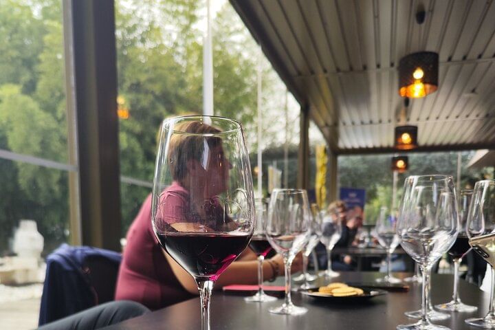 Azeitão Wine & Flavors Tour — Tradition, Taste, and the Spirit of Setúbal