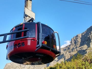 Cape Town Half-Day Tour: Bo-Kaap, Chapman's Peak & Penguins