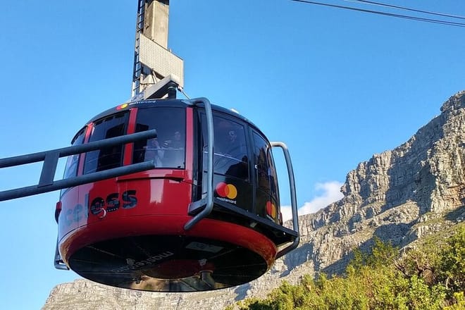Bo Kaap Table Mountain Chapmans Peak & Penguins at Boulders Beach