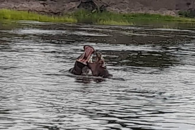 Sunset Cruises on the Zambezi River photo 2